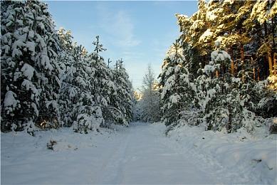 《自杀小队》Steam玩家流失惨重 最低时仅222人